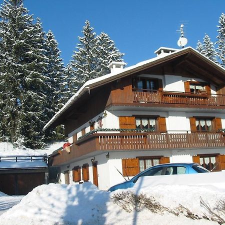 Casa Costantini Cadore Διαμέρισμα Borca di Cadore Εξωτερικό φωτογραφία