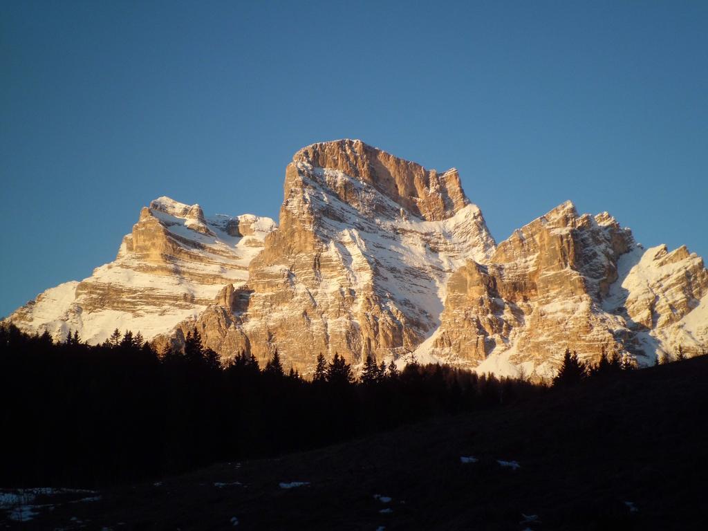 Casa Costantini Cadore Διαμέρισμα Borca di Cadore Εξωτερικό φωτογραφία