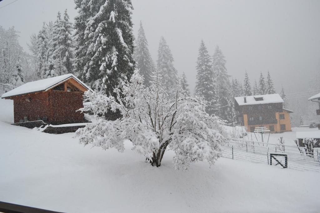 Casa Costantini Cadore Διαμέρισμα Borca di Cadore Δωμάτιο φωτογραφία