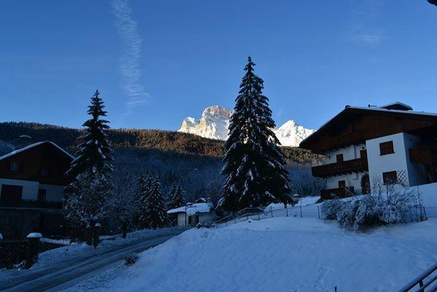 Casa Costantini Cadore Διαμέρισμα Borca di Cadore Εξωτερικό φωτογραφία